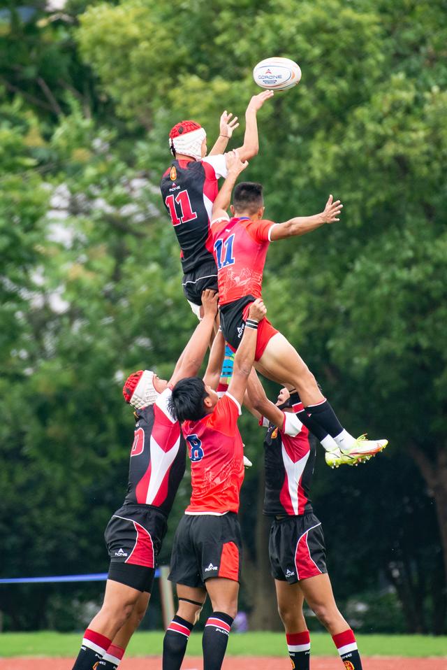 激烈角逐！比赛节奏紧凑令人屏息的简单介绍