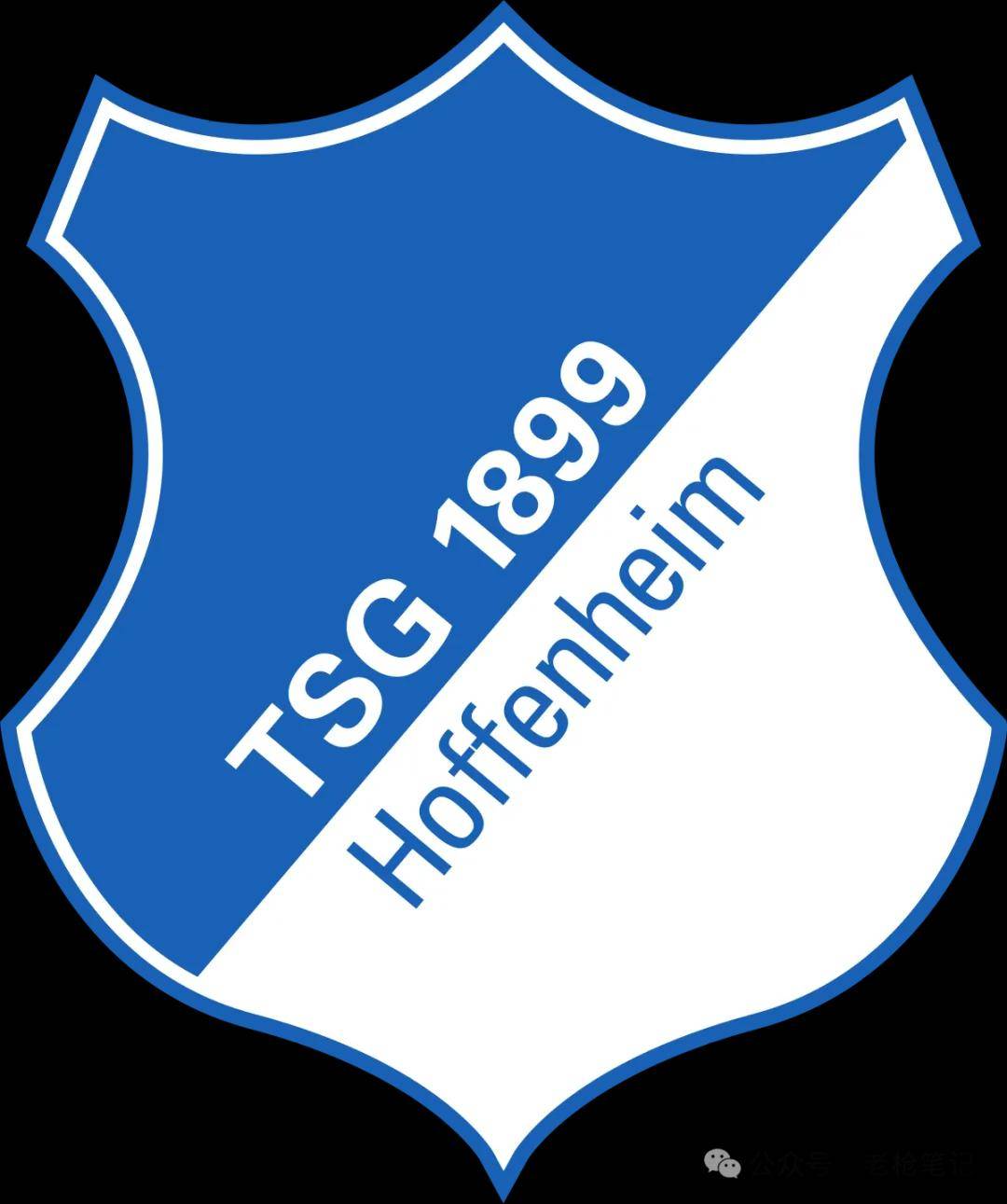 爱游戏体育平台-霍芬海姆疲劳困扰球队，影响战术布局的简单介绍