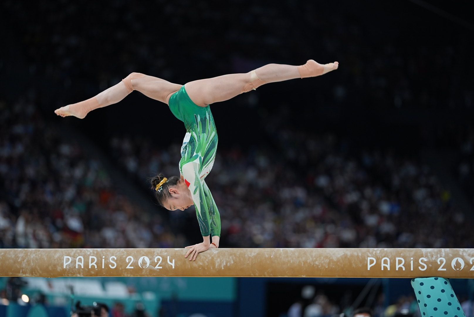 关于韩国体操选手在平衡木项目独领风骚的信息